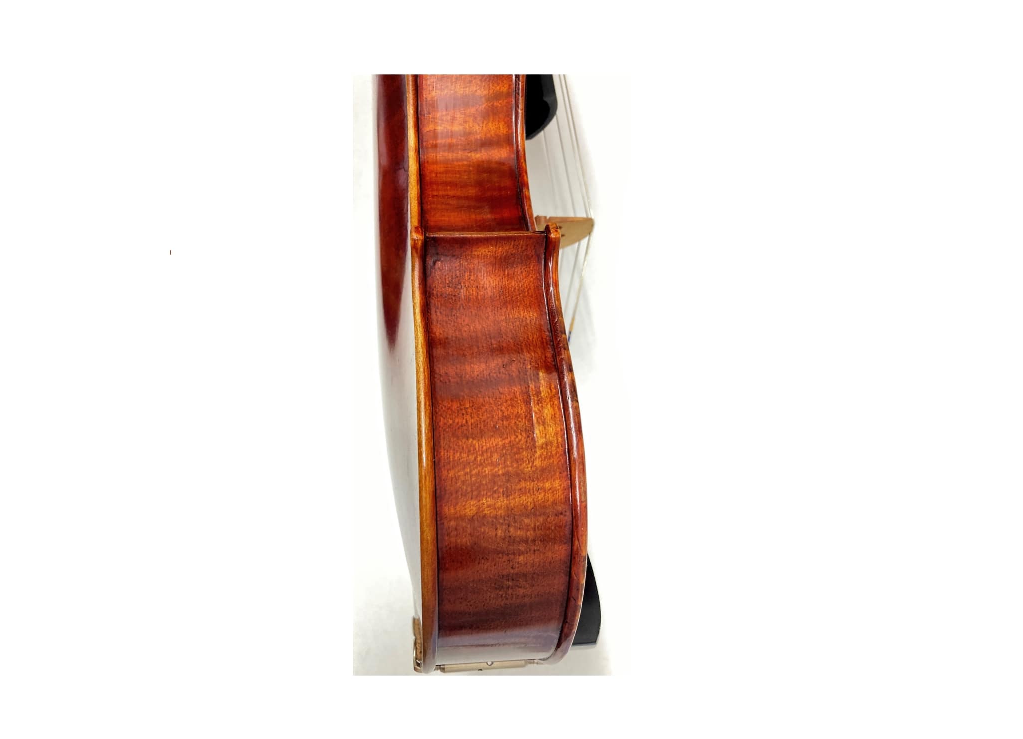 Viola Forte Walter Mahr Bubenreuth 2005 mieten