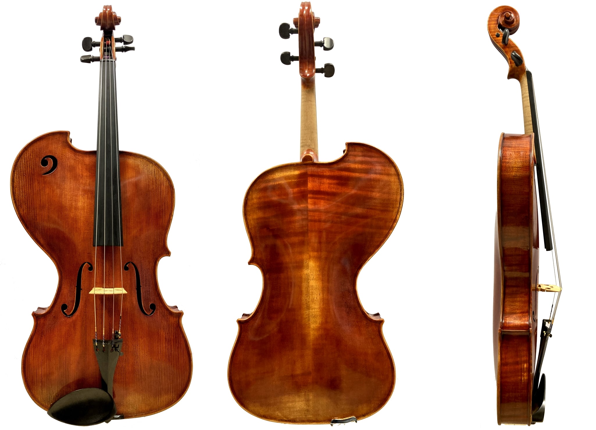 viola-forte-walter-mahr-v202-1-min