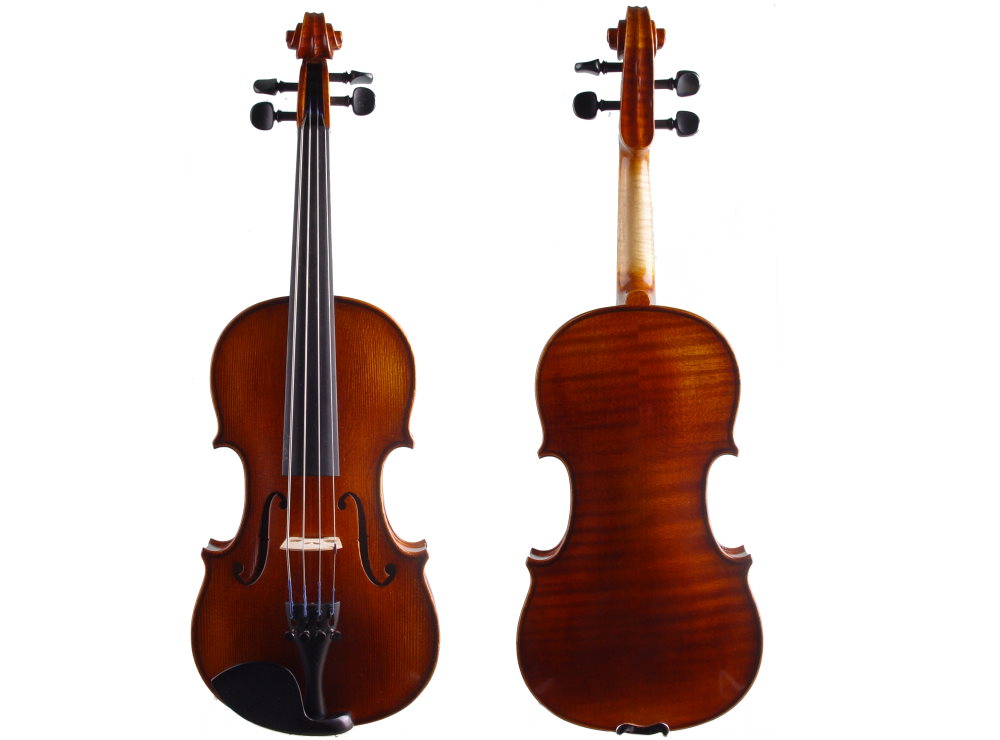mietviola823-2