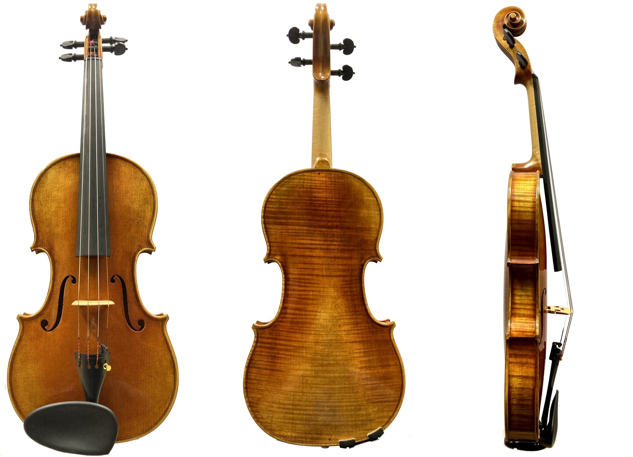 Walter Mahr 2024 Stradivari Modell mieten