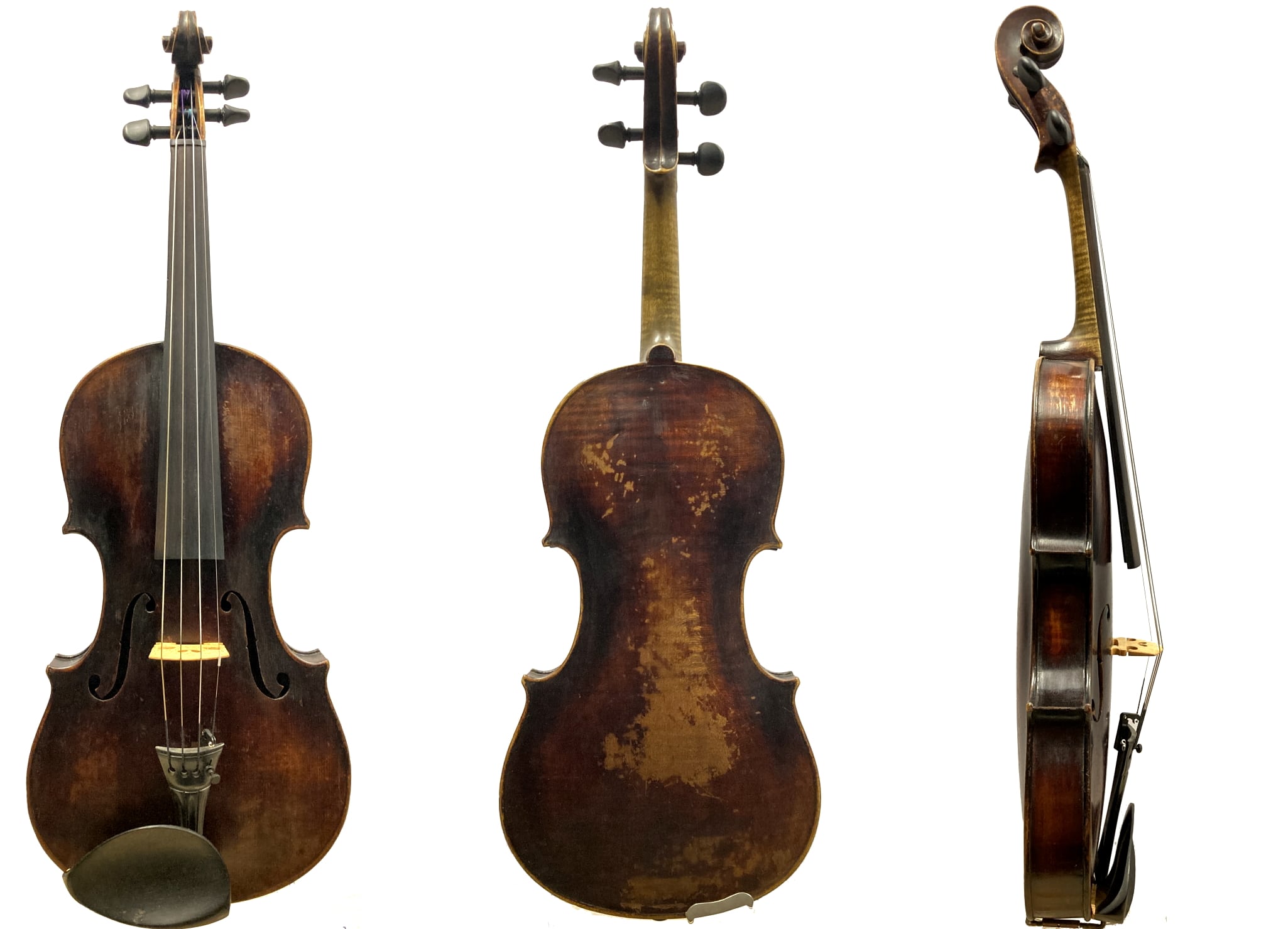 violine-grienberger-e973-1-min