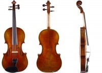 Die günstigste Violine von Walter Mahr 11-53 mieten