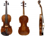 Alte Geige mit Zettel Joannes Baptista Zanoli mieten